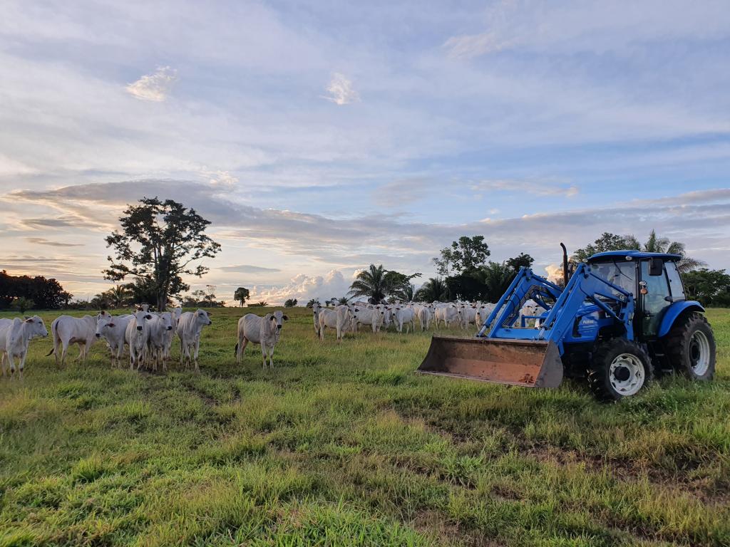 Uso de tratores na pecuária