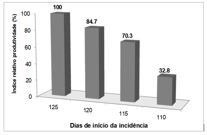 Figura 4: Perdas relativas de produtividade (%) do alho em função do início de incidência de Alternaria Porri. INCAPER, Domingos Martins, 2011.