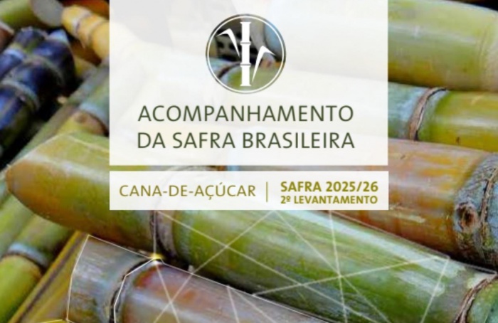 Conab prevê redução de 1,2% na produção de cana em 2025/26
