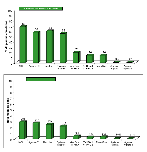 Figura 1–Médias de porcentagem de plantas com danos e notas de dano (Escala Davis) de Spodoptera frugiperda em milho Bt e não-Bt, após 12 avaliações realizadas. Santa Maria-RS, safra 2015/16.