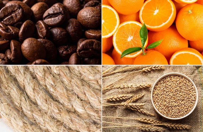 Ministério atualiza preços mínimos para a safra 2026/27