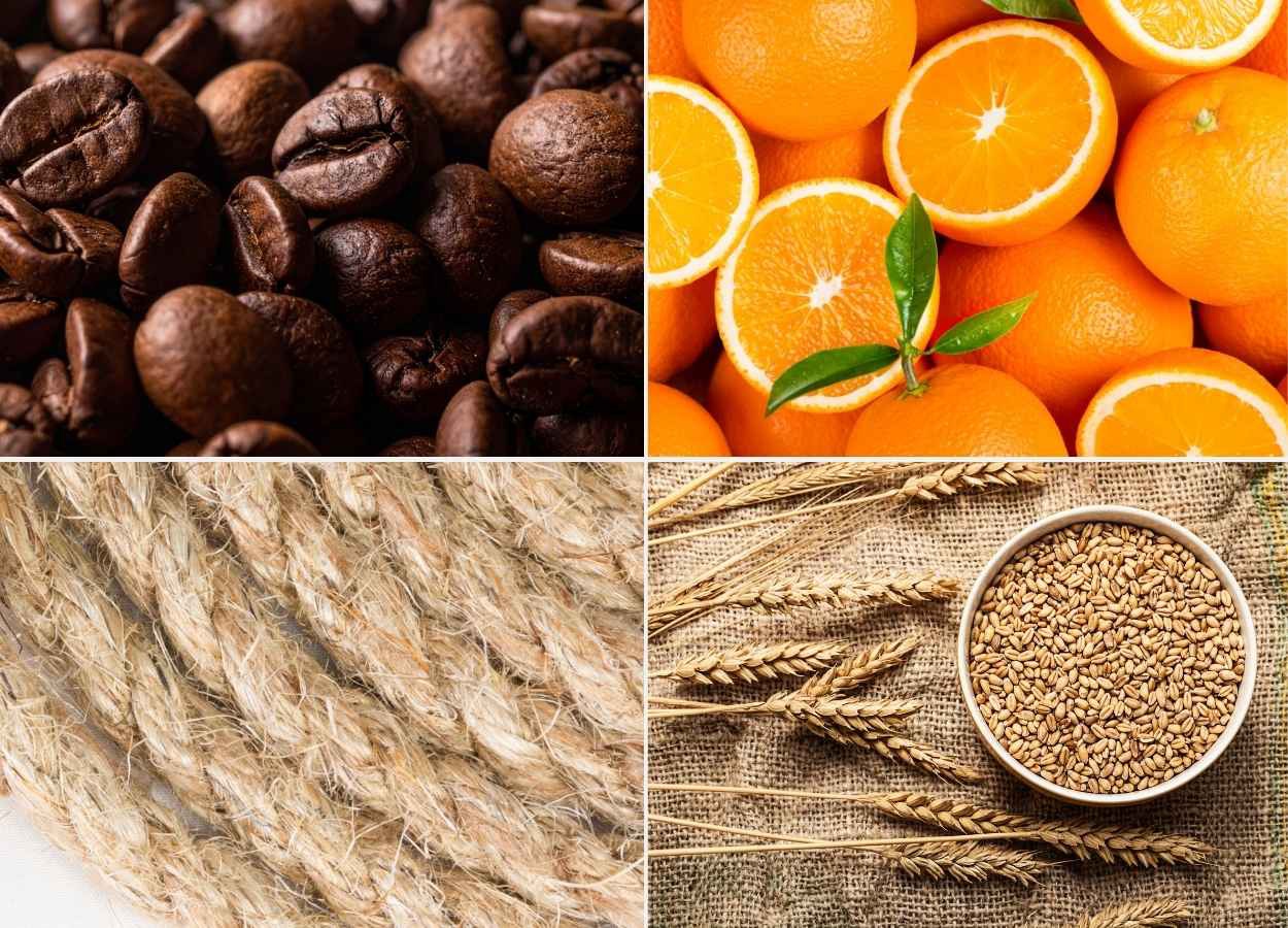 Ministério atualiza preços mínimos para a safra 2026/27