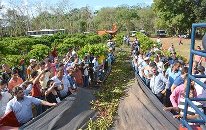 Produtores de café em Rondônia aprovam  colheita semimecanizada