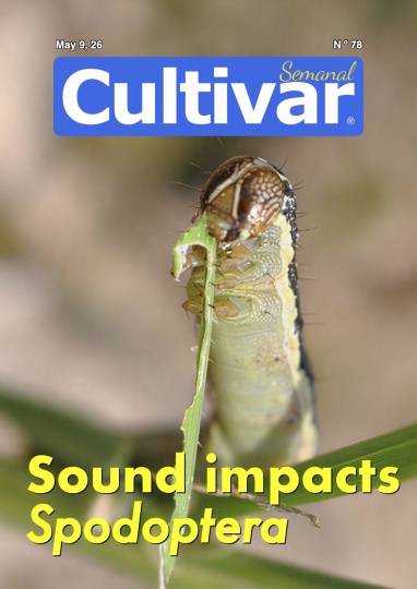 Cultivar Semanal (wöchentlich) 78