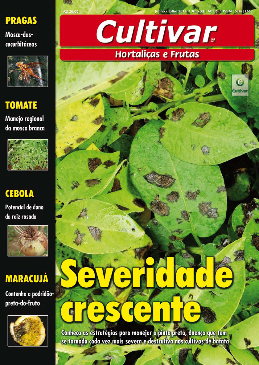 Severidade crescente