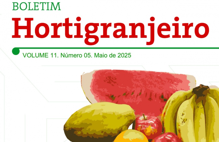 Oferta elevada reduz preço da cenoura em 22,88% no atacado