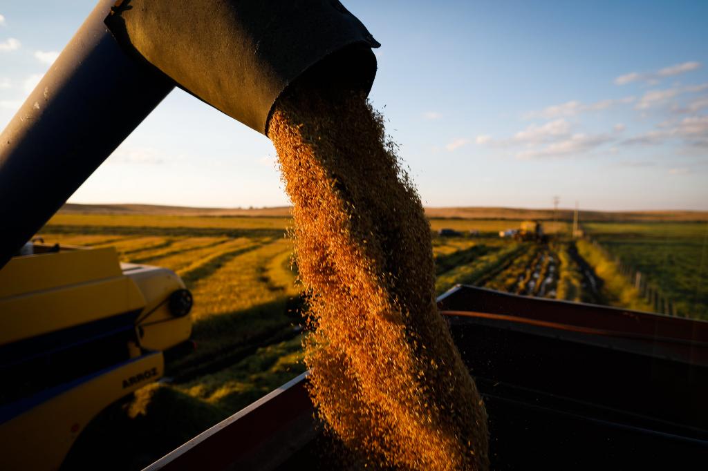 Valor bruto da produção agropecuária deve subir 15% em 2020