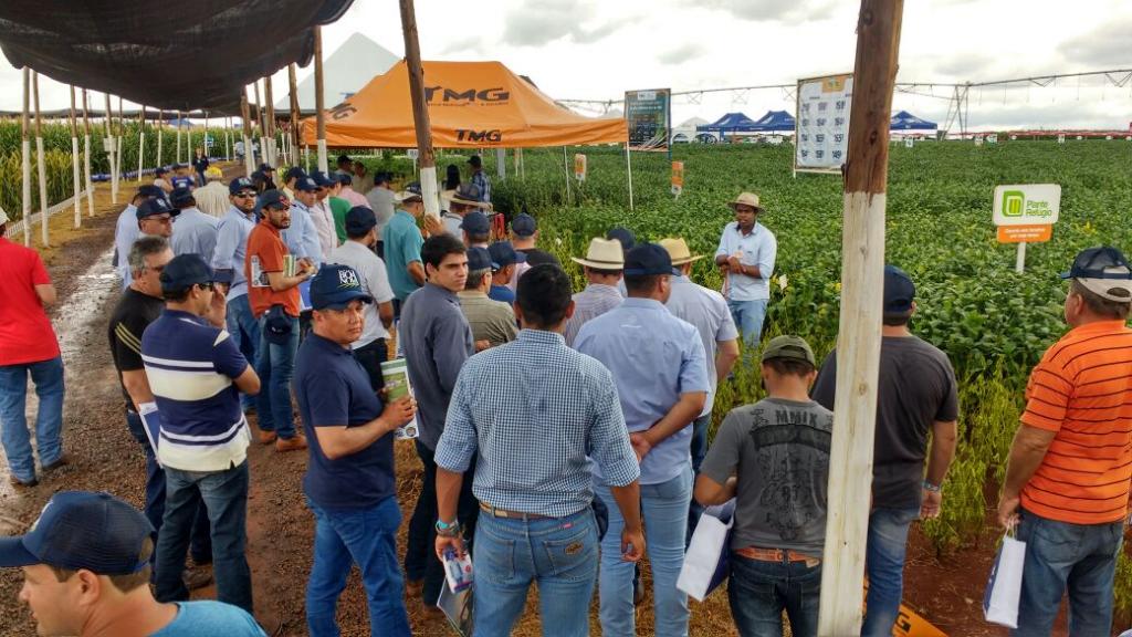 TMG apresenta duas novas cultivares na Superagro 2018