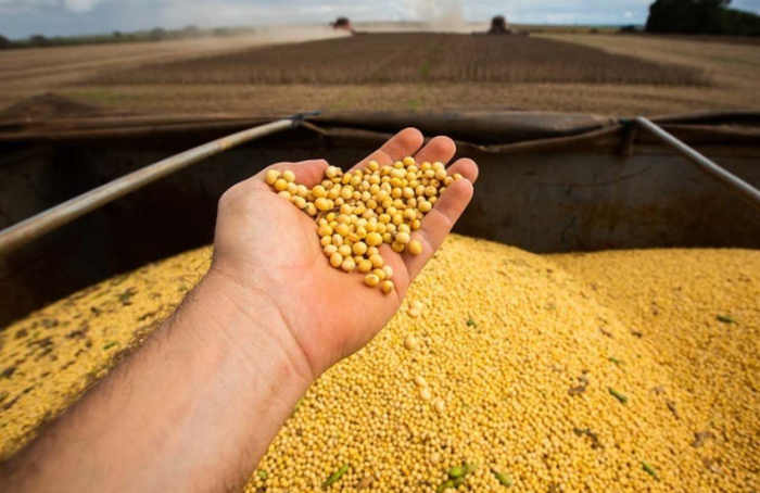 CNA debate impactos climáticos na safra de soja e milho
