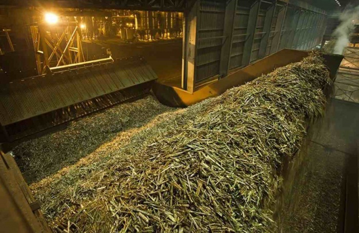 Moagem acelerada reforça oferta global de açúcar e etanol