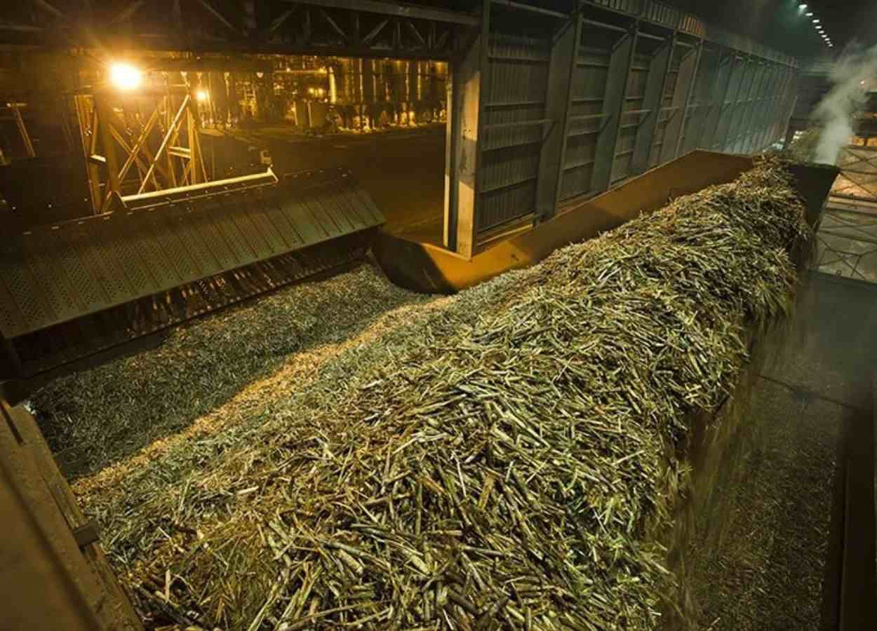 Moagem acelerada reforça oferta global de açúcar e etanol