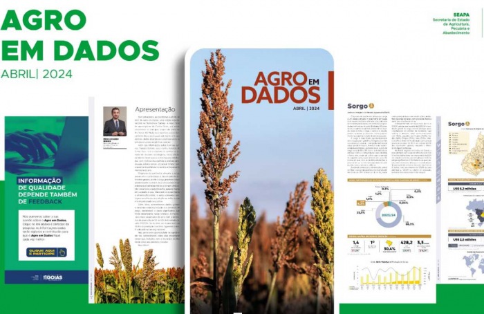 Edição de abril do Agro em Dados explora o cenário do cultivo de sorgo em Goiás