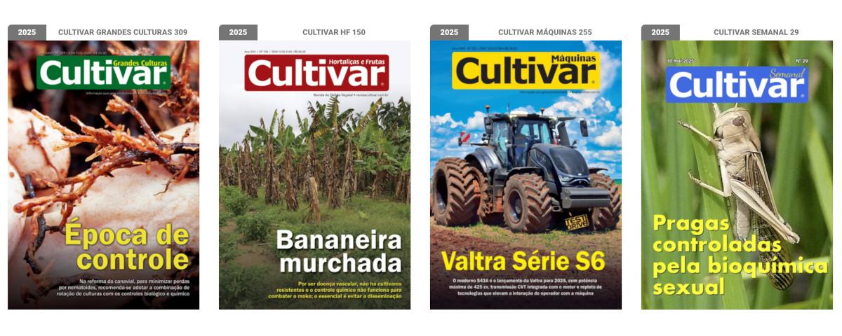 Capas - 2025