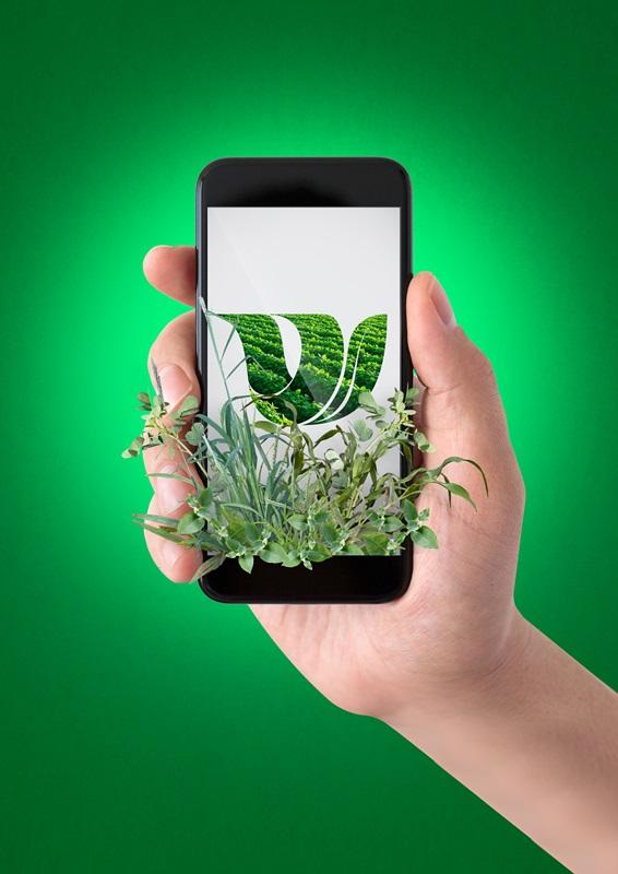 Aplicativo WeedApp orienta controle de plantas daninhas tolerantes e resistentes a herbicidas na cultura da soja