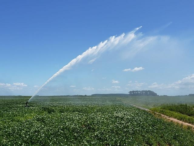 Fomento à irrigação será tema da Abertura da Colheita do Arroz