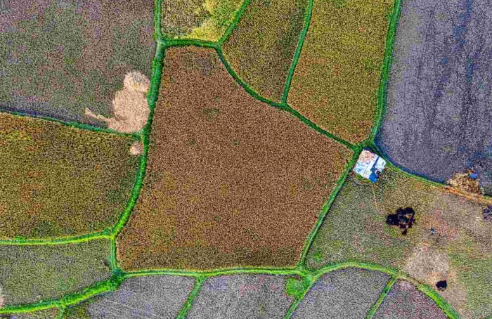 Centro-Oeste lidera busca por terras rurais no Brasil em 2025