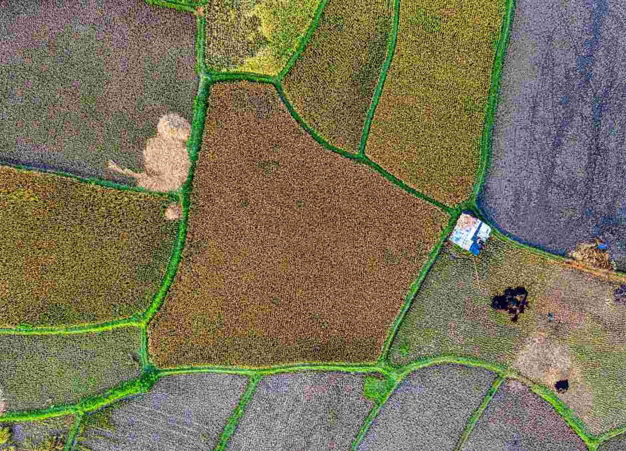 Centro-Oeste lidera busca por terras rurais no Brasil em 2025