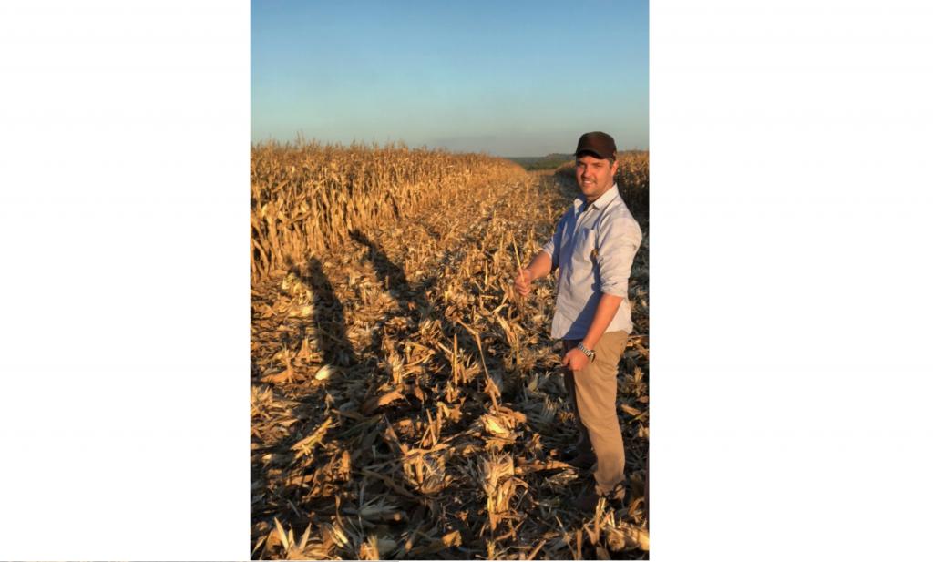Produtores rurais do Tocantins avaliam desempenho de milho na segunda safra