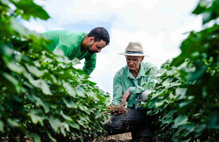 SLC Agrícola amplia área certificada