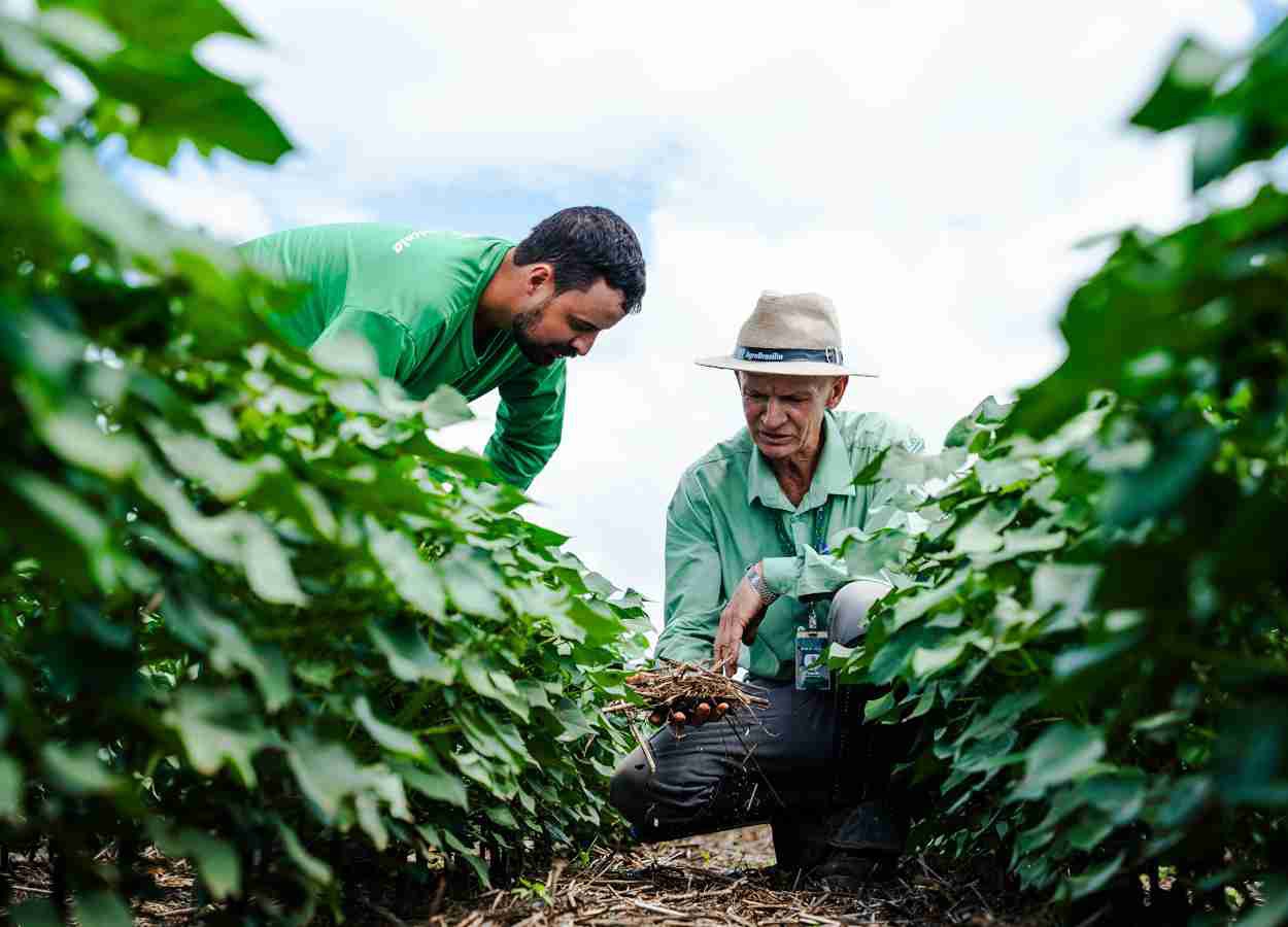 SLC Agrícola amplia área certificada