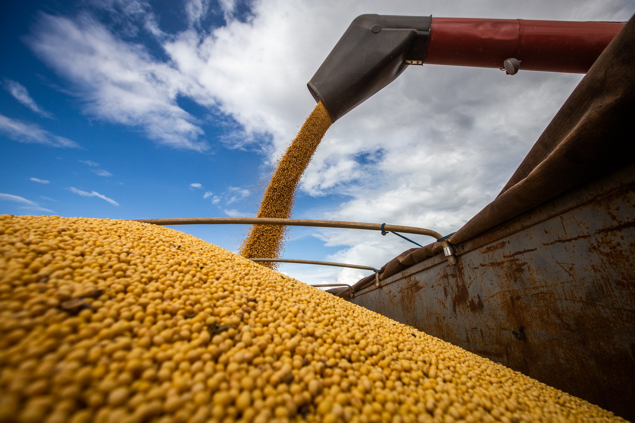 Centro-Oeste registra 16% de aumento na produção de grãos