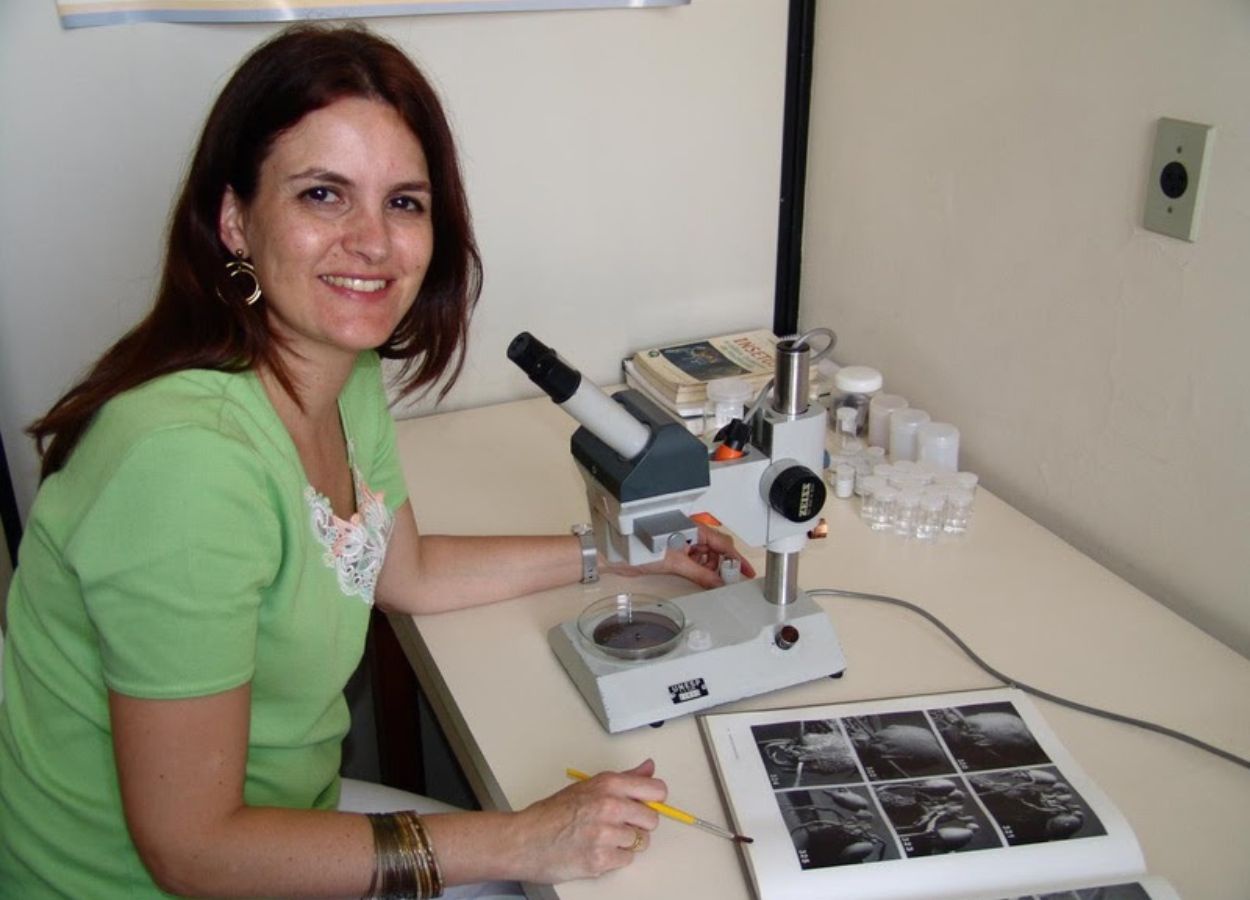 Pesquisadora do Instituto Biológico é reconhecida na mirmecologia