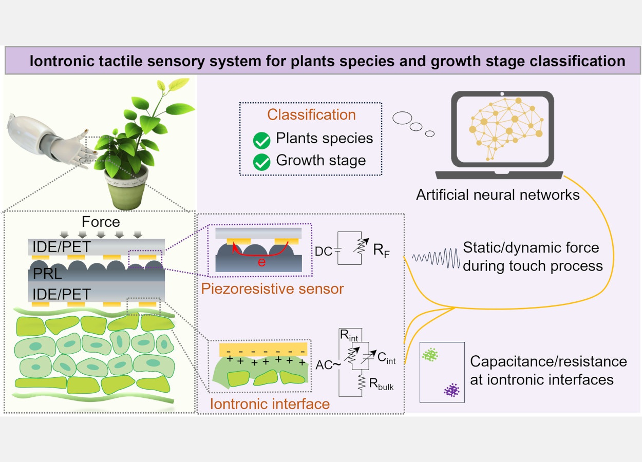 Robô utiliza sensibilidade tátil para identificar plantas