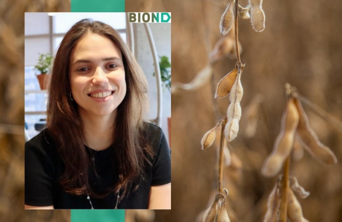 China e EUA retomam diálogo e mexem com mercado da soja