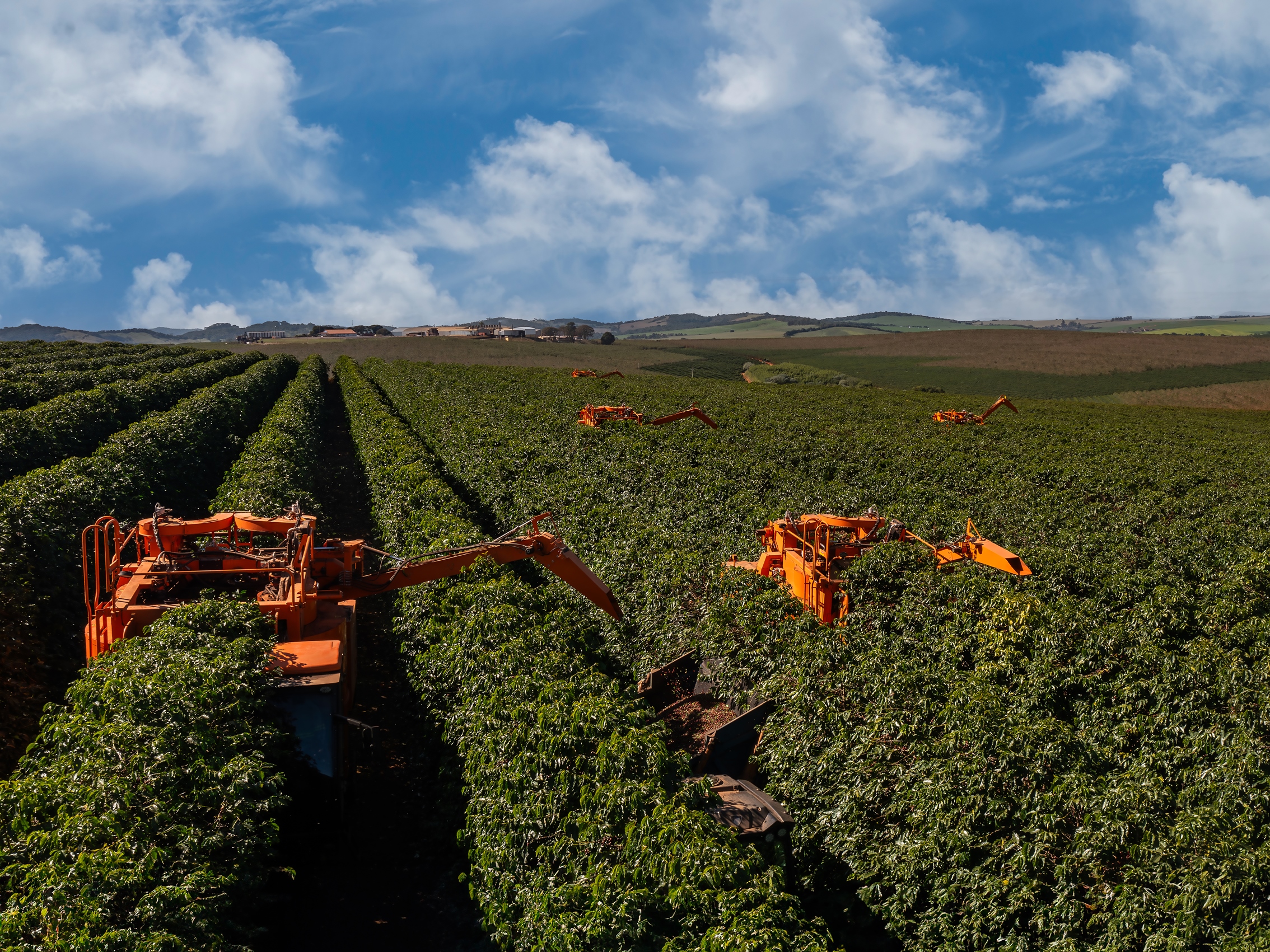 O sistema derriçador da K 3000 permite velocidade de colheita de até 2,5 km/h e transportadores com capacidade para um fluxo de mais de 14.000 litros de café por hora