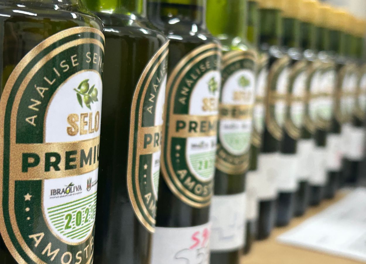 Certificação rastreia lote e origem de azeites produzidos no RS