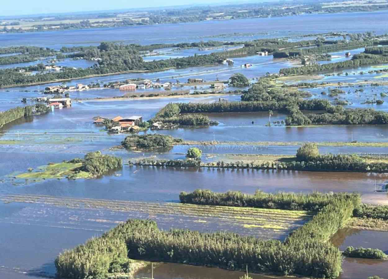 Defesa Vegetal do Rio Grande do Sul prorroga prazos em decorrência das enchentes