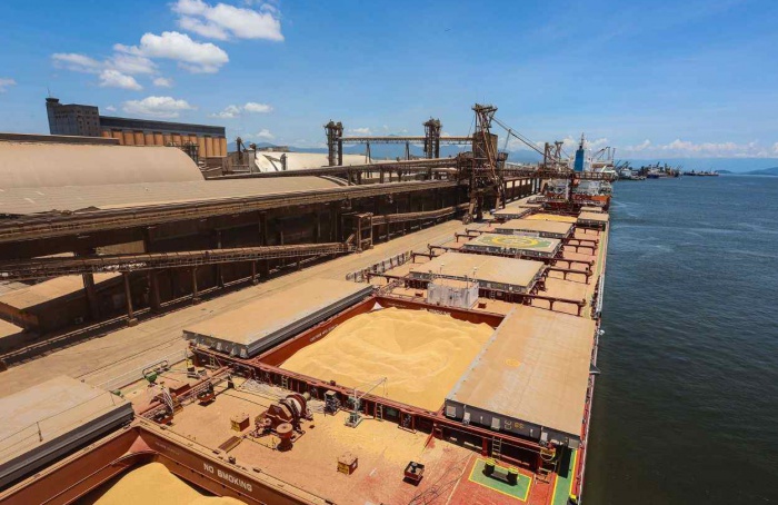 China receives 91,8% of the soy exported through the Port of Paranaguá