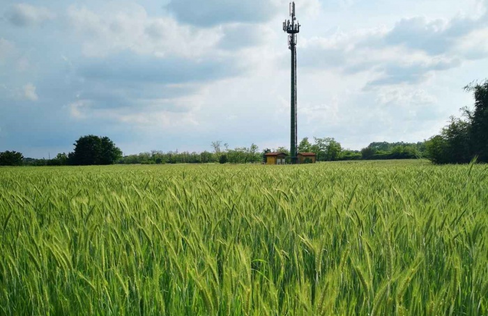 Programa amplia conexão de internet e telefonia no campo de SC