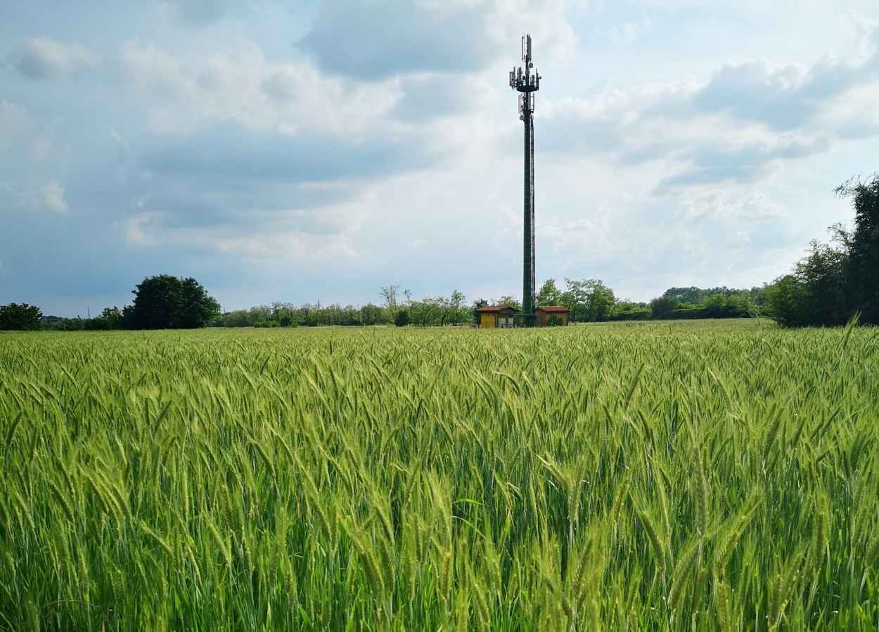 Programa amplia conexão de internet e telefonia no campo de SC