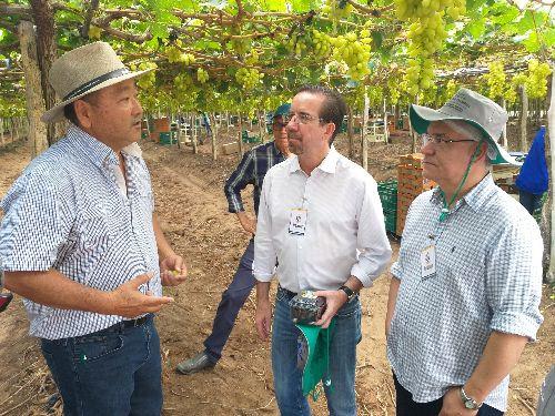 Comitiva conhece polo de fruticultura irrigada no Vale do Rio São Francisco