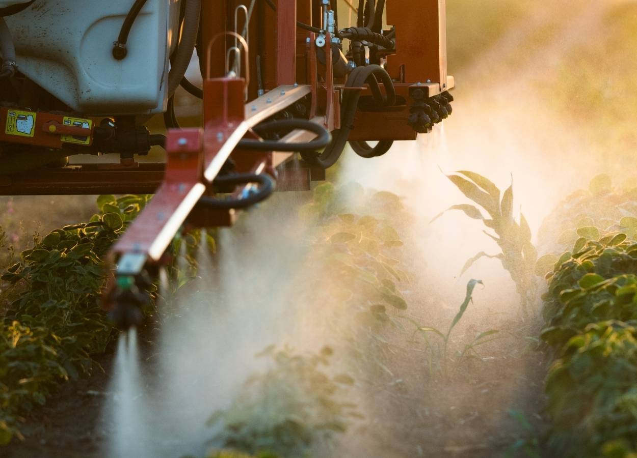 Mercado de defensivos da soja cresce 6% no Brasil