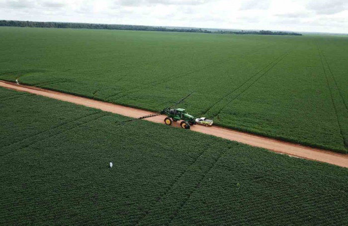 Inoculação e nutrientes no sulco de plantio exigem atenção