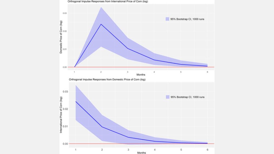 Figura 3: respostas de impulso ortogonais e 95% Bootstrap CI.; fonte: calculado pelos autores utilizando os coeficientes impulso-resposta ortogonalizados do VAR