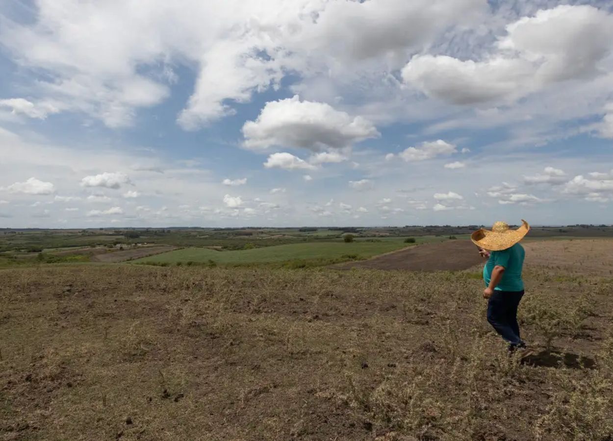 Tocantins decreta situação de emergência devido à estiagem