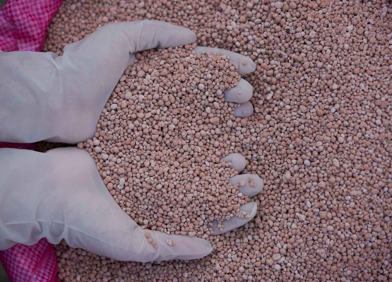 Mercado global de fertilizantes deve ganhar estabilidade