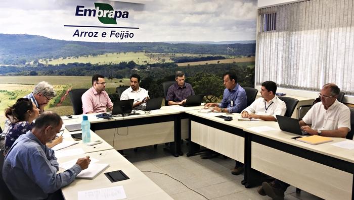 Comitê do Programa Arroz Híbrido Embrapa/Cirad planeja ações de pesquisa e negócio