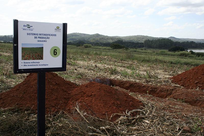 Sistemas integrados de produção exigem conhecimento para mais rentabilidade