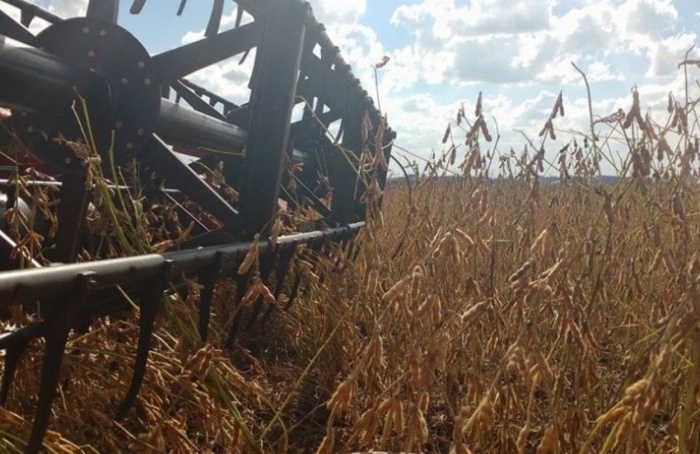 RS Safra 2025/26: clima irregular impacta colheita de verão