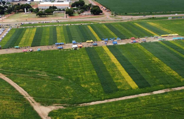 AgroBrasília divulga resultados da Competição de Cultivares de Soja 2024