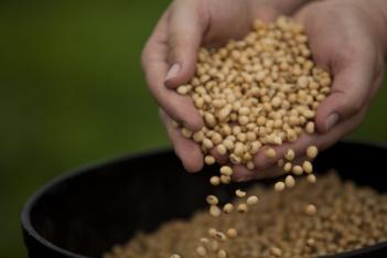 Programa Produzindo Certo certifica 38 produtores e mais de 180 mil toneladas de soja