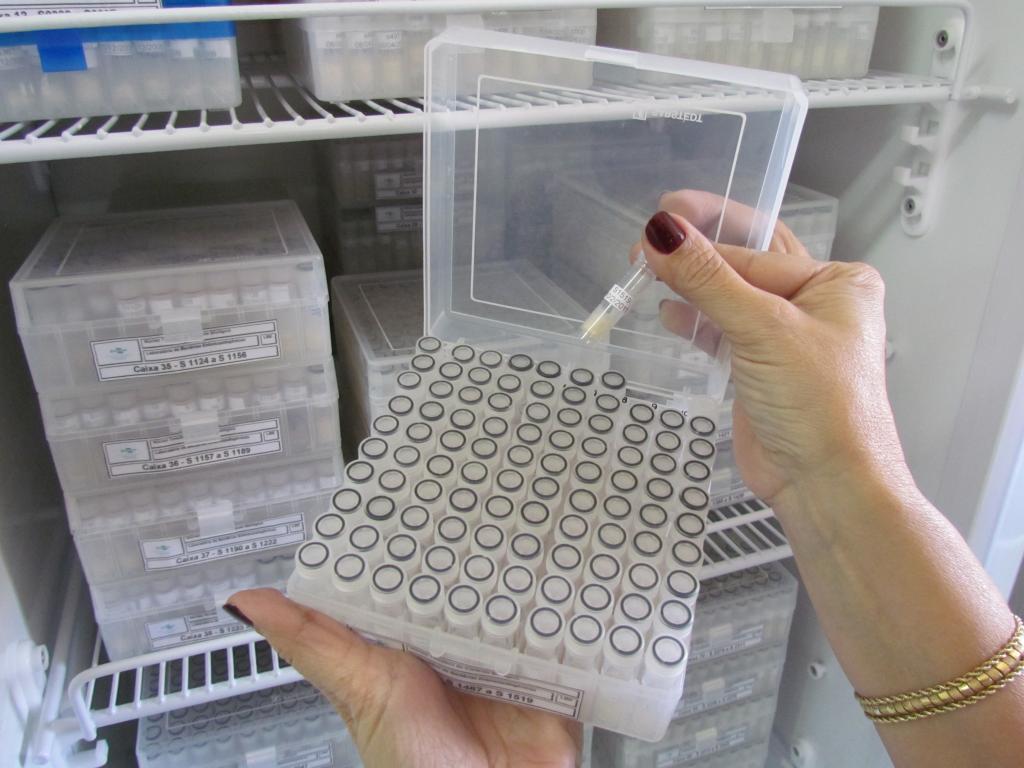Qualidade na conservação de microrganismos garante padrão do produto final
