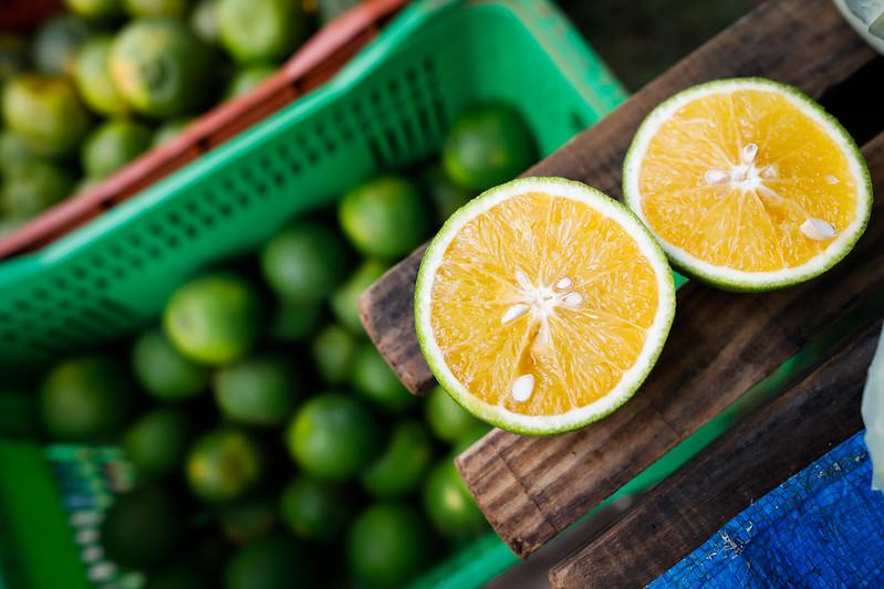 Novas operações de Pepro e PEP são realizadas em apoio a produtores de laranja no RS