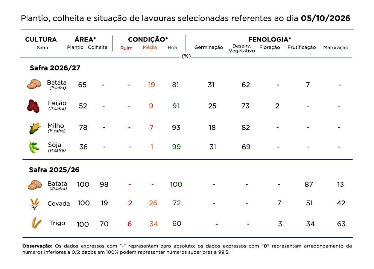 PR Safra 2026/27: chuvas atrasam soja e milho; e pressionam trigo