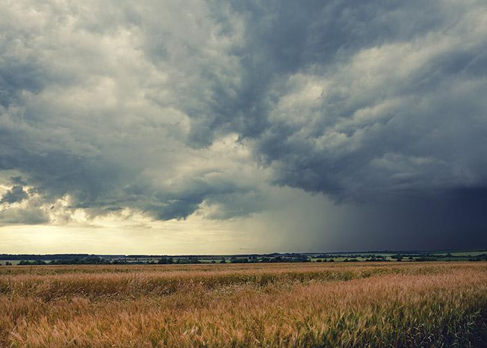 Zoneamento de risco climático fez Brasil economizar R$ 16,8 bilhões em 2018