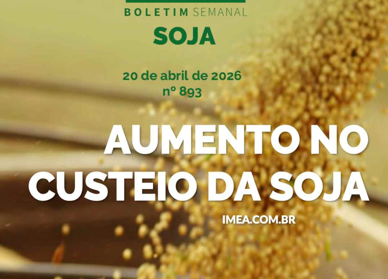 Custo de produção sobe para soja, milho e algodão em Mato Grosso